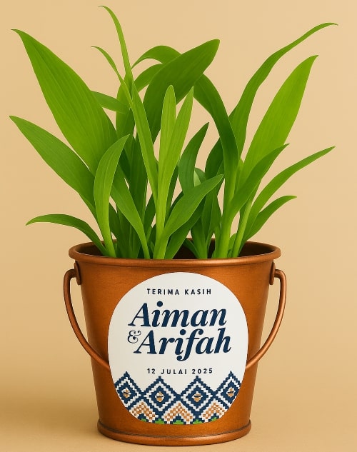 Lenbaran Daun S Khadijaj in Copper Pail with Wedding Sticker500 Pelbagai Manfaat Lembaran Daun Siti Khadijah